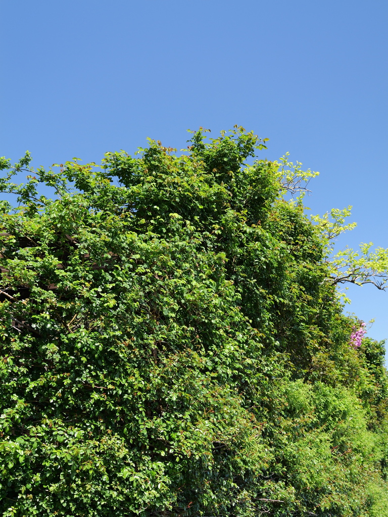 2025-04-16 10_55№(0249).JPG