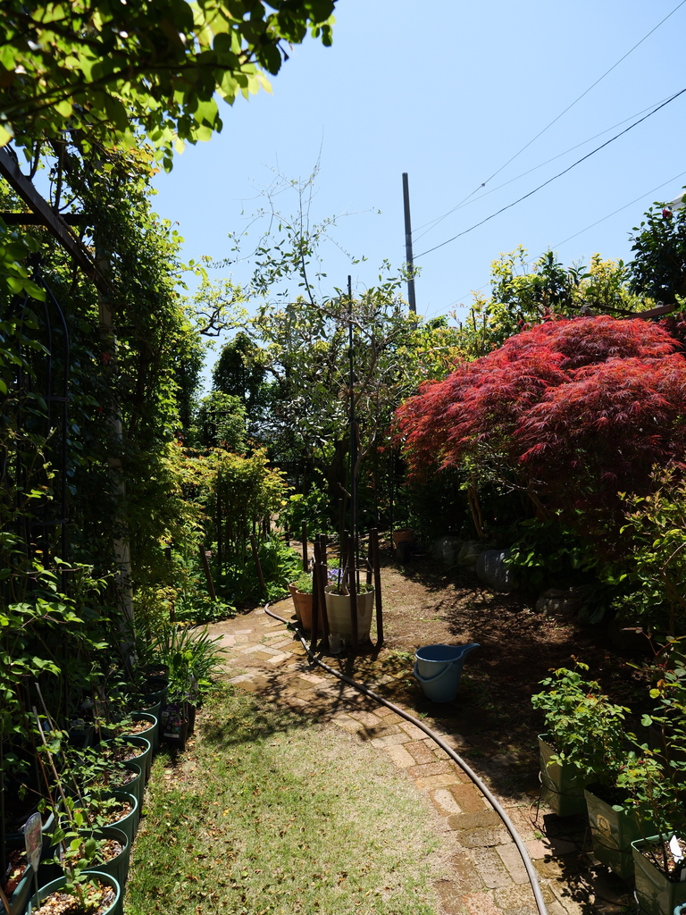 2025-04-16 10_56№(0266).JPG