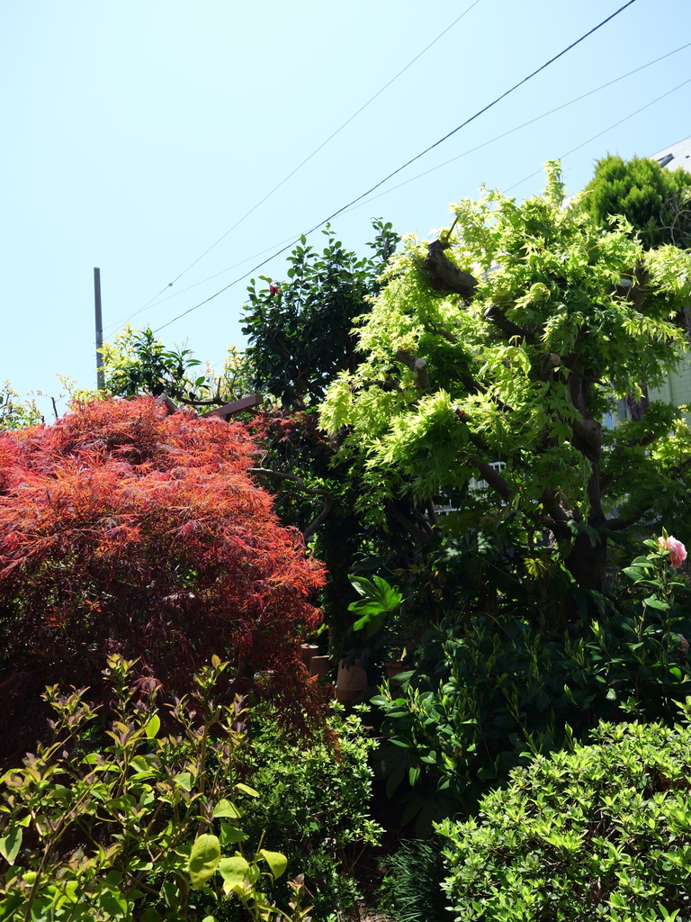 2025-04-16 10_56№(0268).JPG