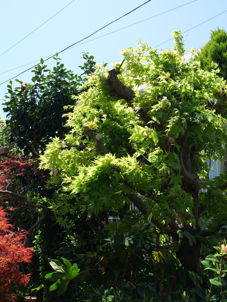 2025-04-16 10_57№(0271).JPG