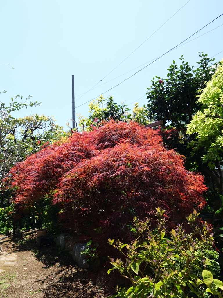 2025-04-16 10_57№(0274).JPG