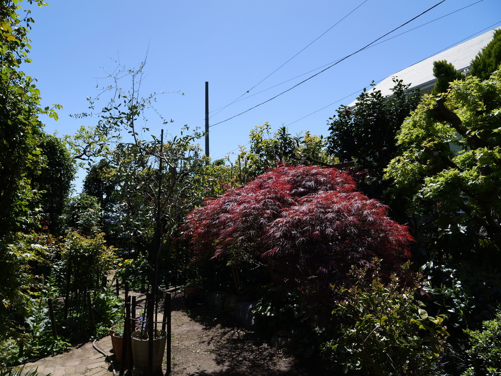 2025-04-16 10_57№(0278).JPG