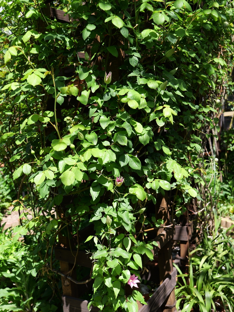 2025-04-16 10_57№(0280).JPG