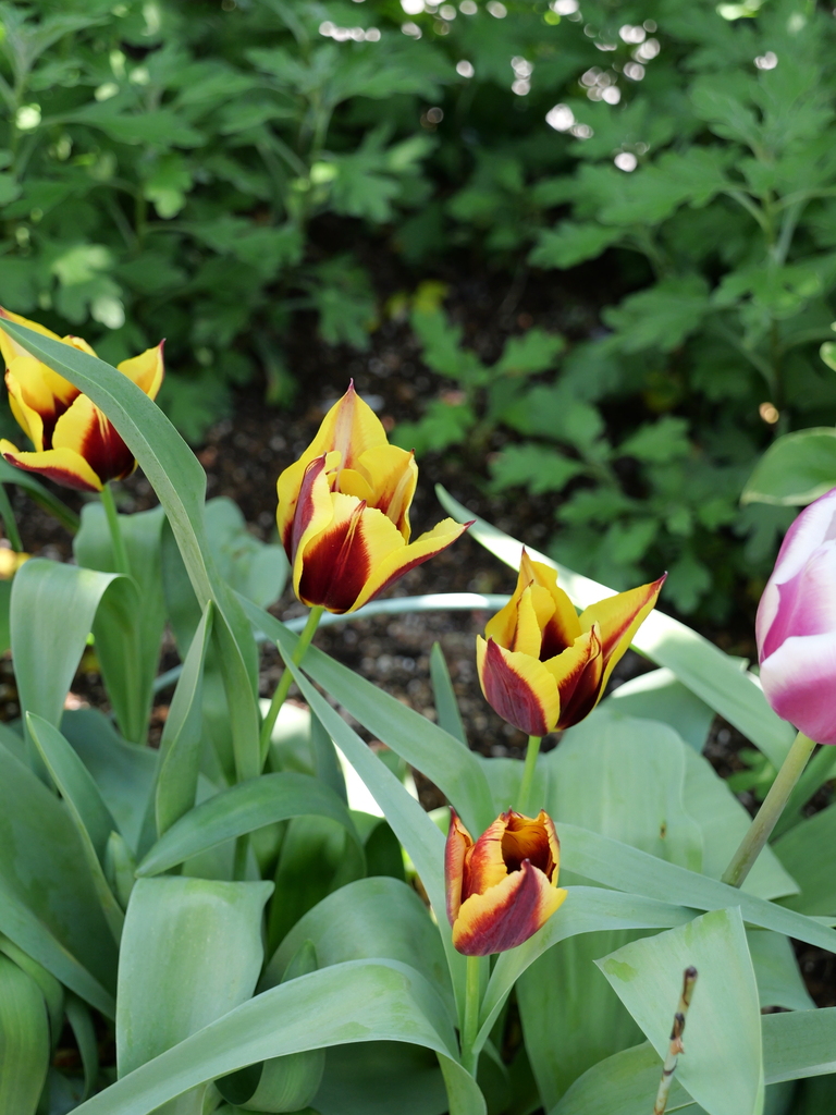 2025-04-16 10_58№(0306).JPG