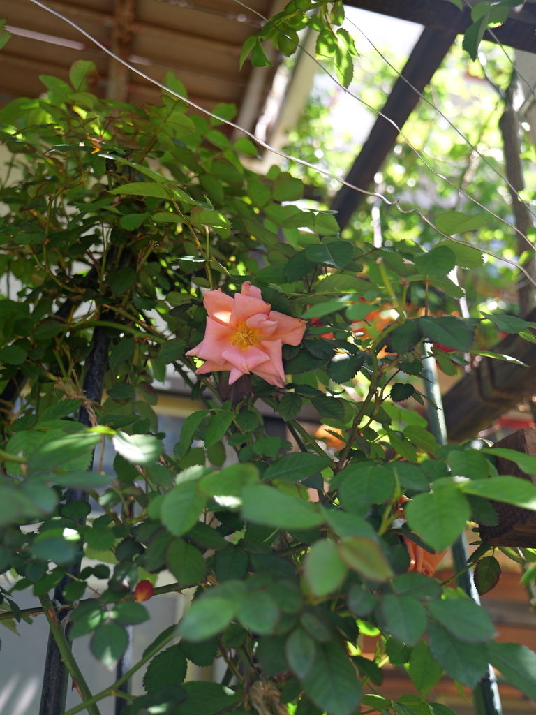 2025-04-16 10_58№(0318).JPG