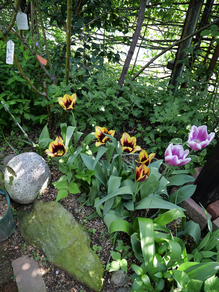 2025-04-17 10_15№(0017).JPG