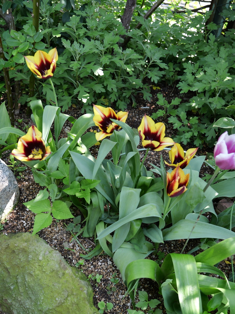 2025-04-17 10_15№(0018).JPG