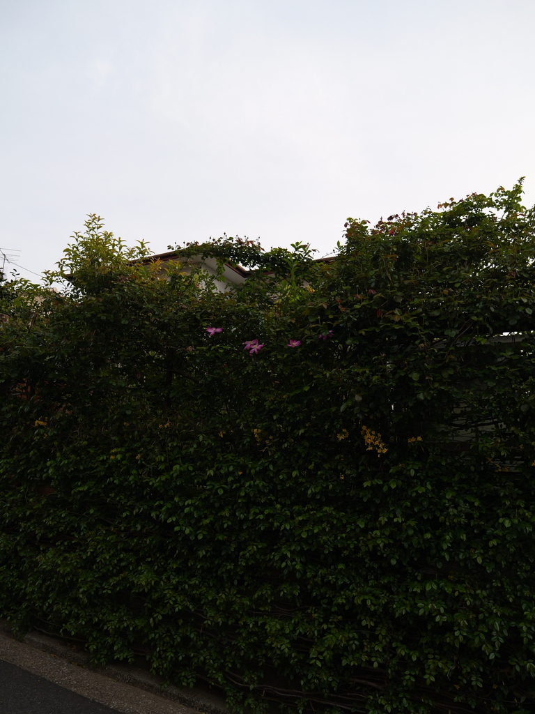 2025-04-18 06_51№(0132).JPG