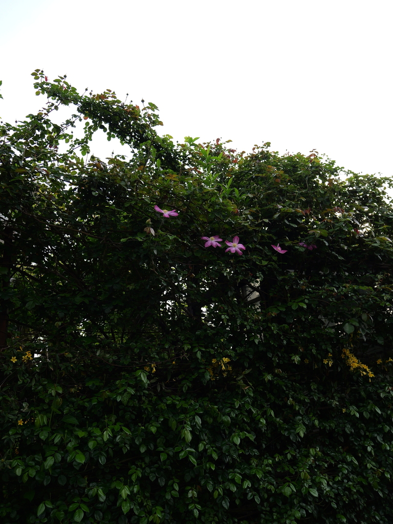 2025-04-18 06_52№(0134).JPG