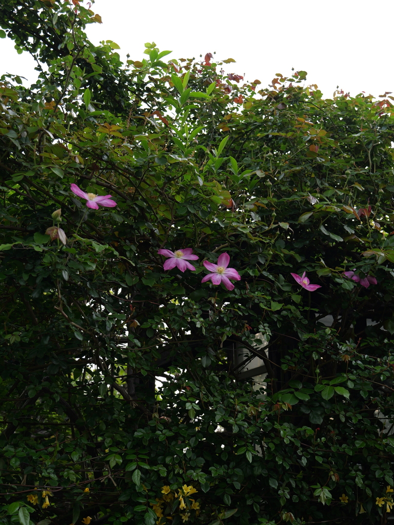 2025-04-18 06_52№(0136).JPG