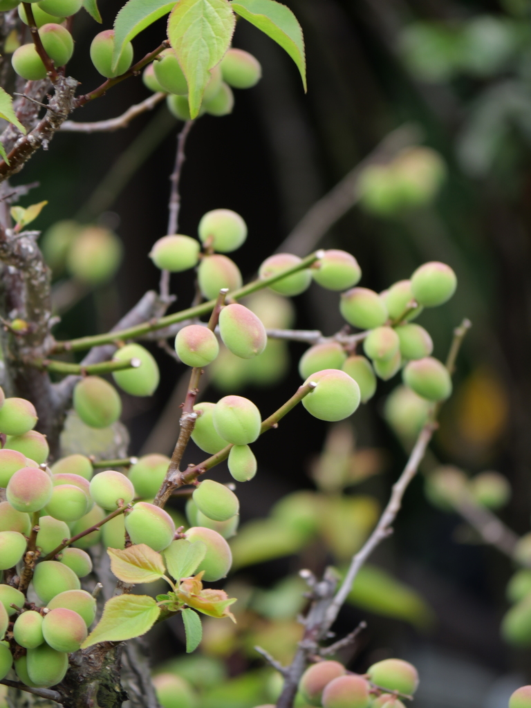 2025-04-18 09_07№(0309).JPG