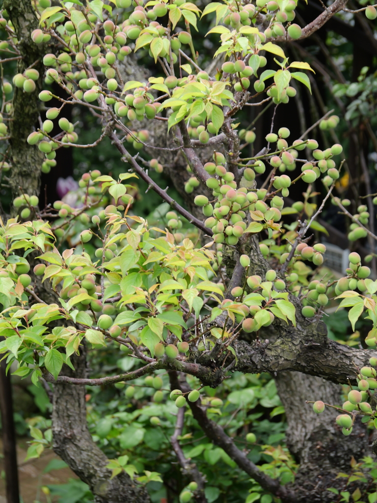 2025-04-18 09_08№(0314).JPG
