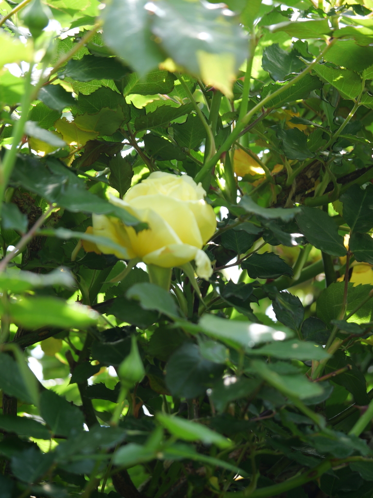 2025-04-19 10_56№(0002).JPG