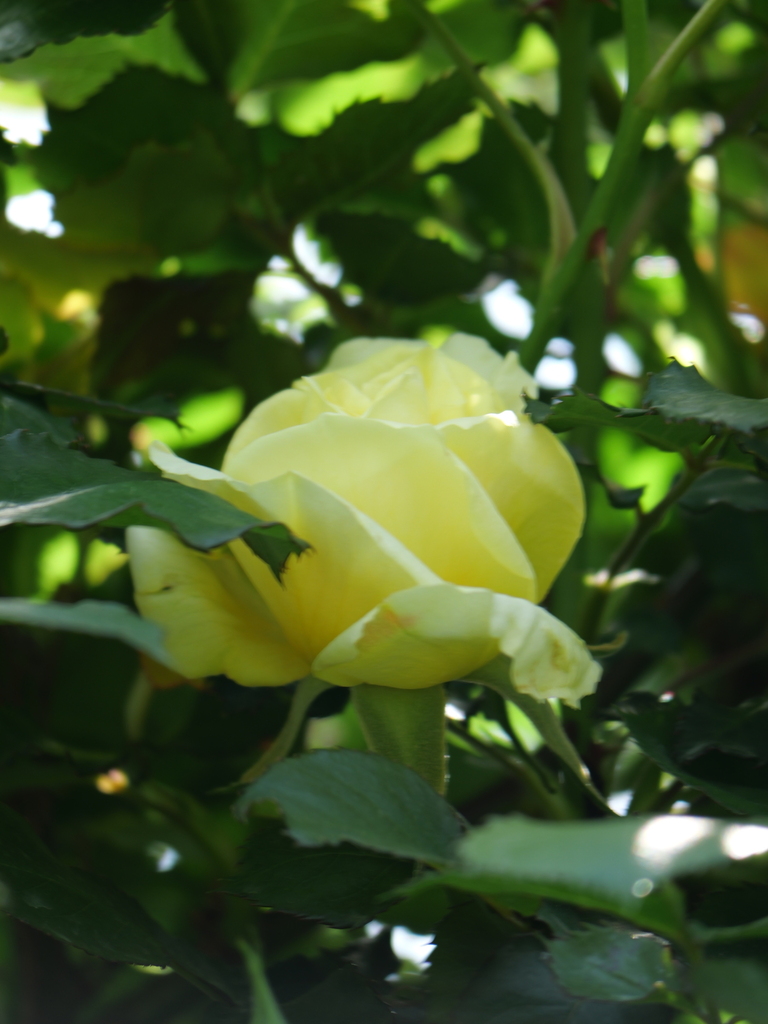 2025-04-19 10_56№(0004).JPG