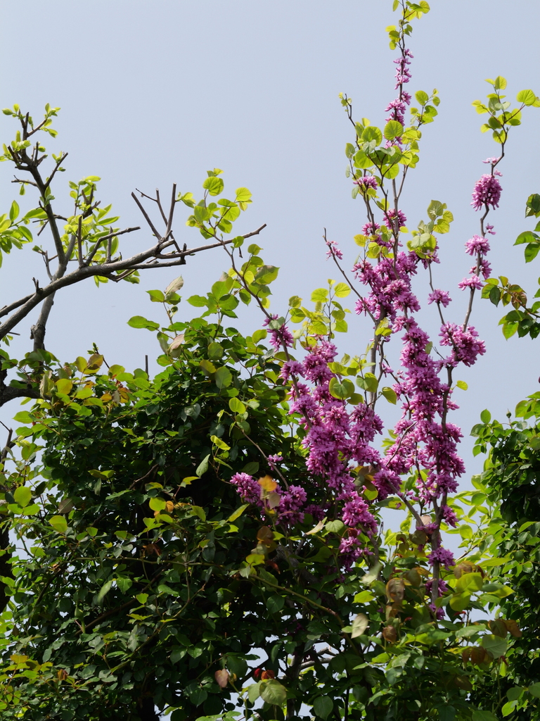 2025-04-19 11_06№(0035).JPG