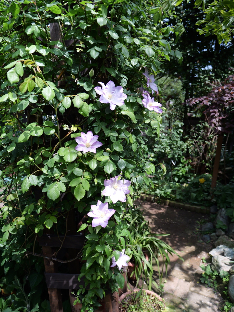 2025-04-19 11_10№(0041).JPG
