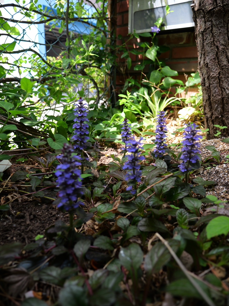 2025-04-19 11_19№(0071).JPG