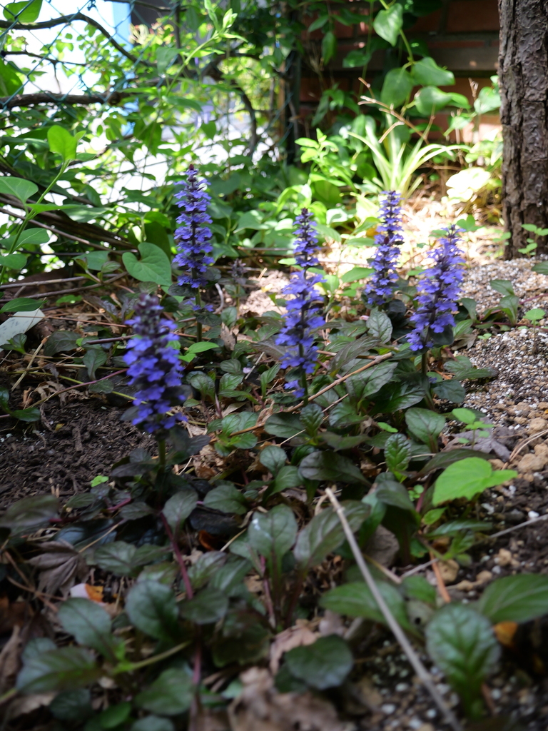 2025-04-19 11_19№(0073).JPG