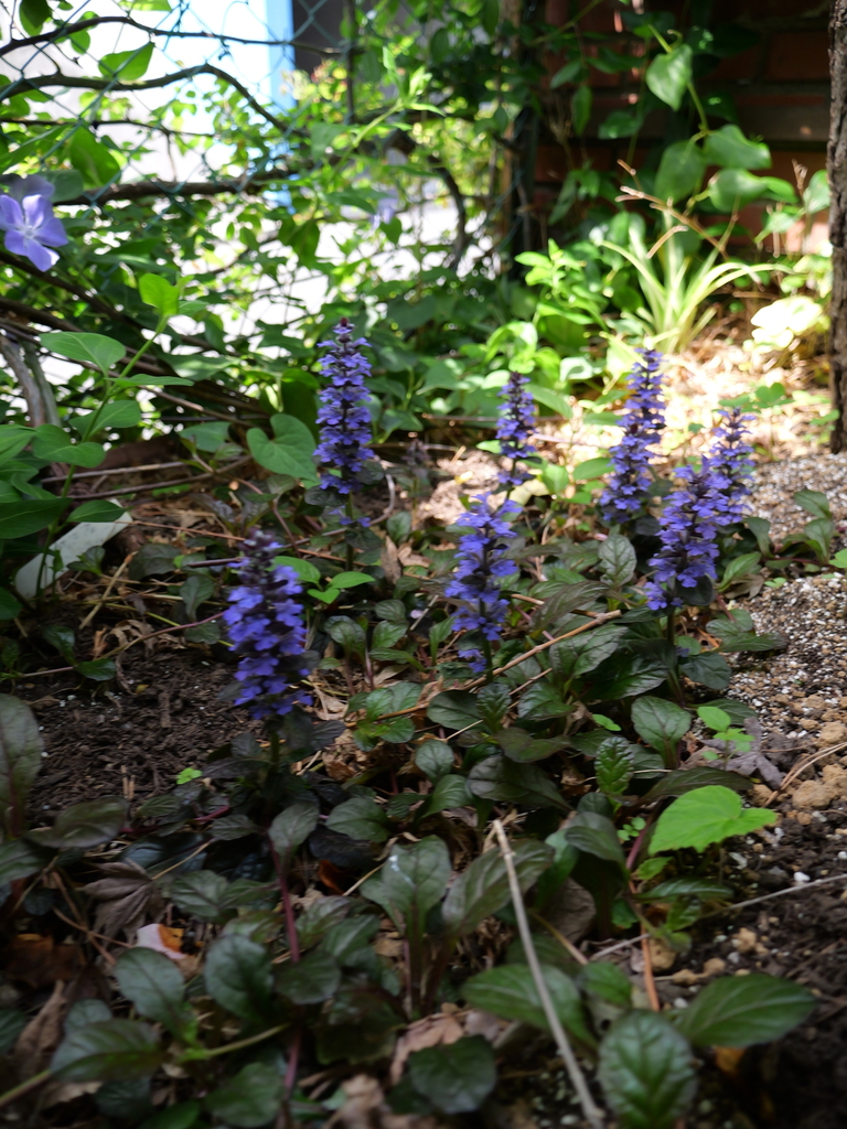 2025-04-19 11_19№(0074).JPG