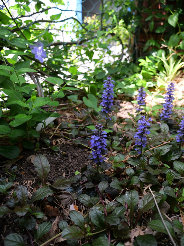 2025-04-19 11_19№(0075).JPG