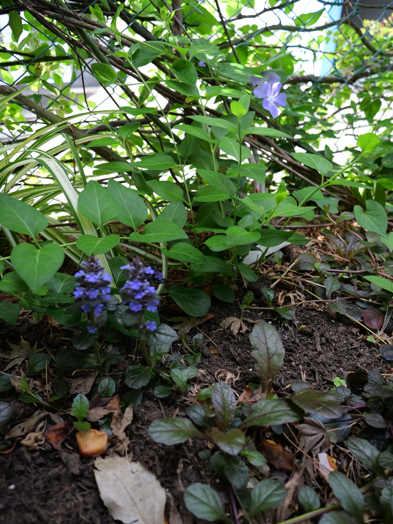 2025-04-19 11_19№(0077).JPG