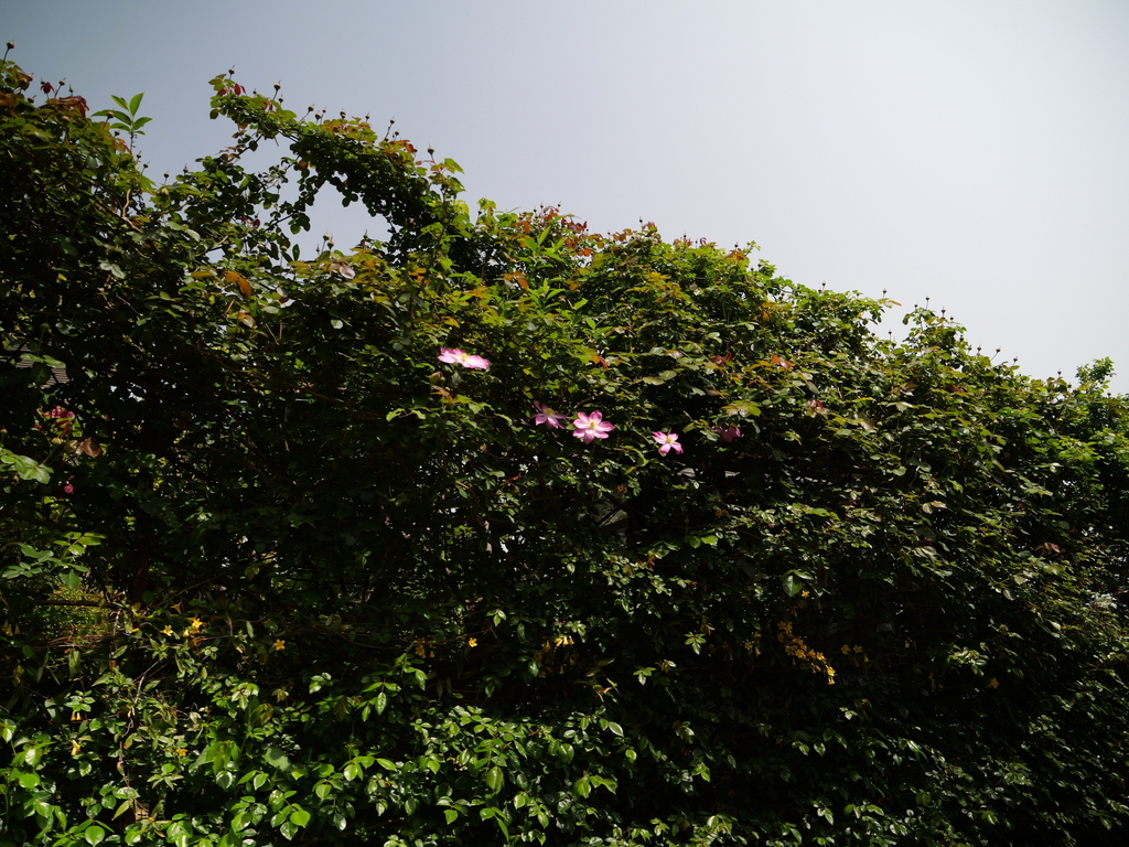 2025-04-19 11_52№(0155).JPG