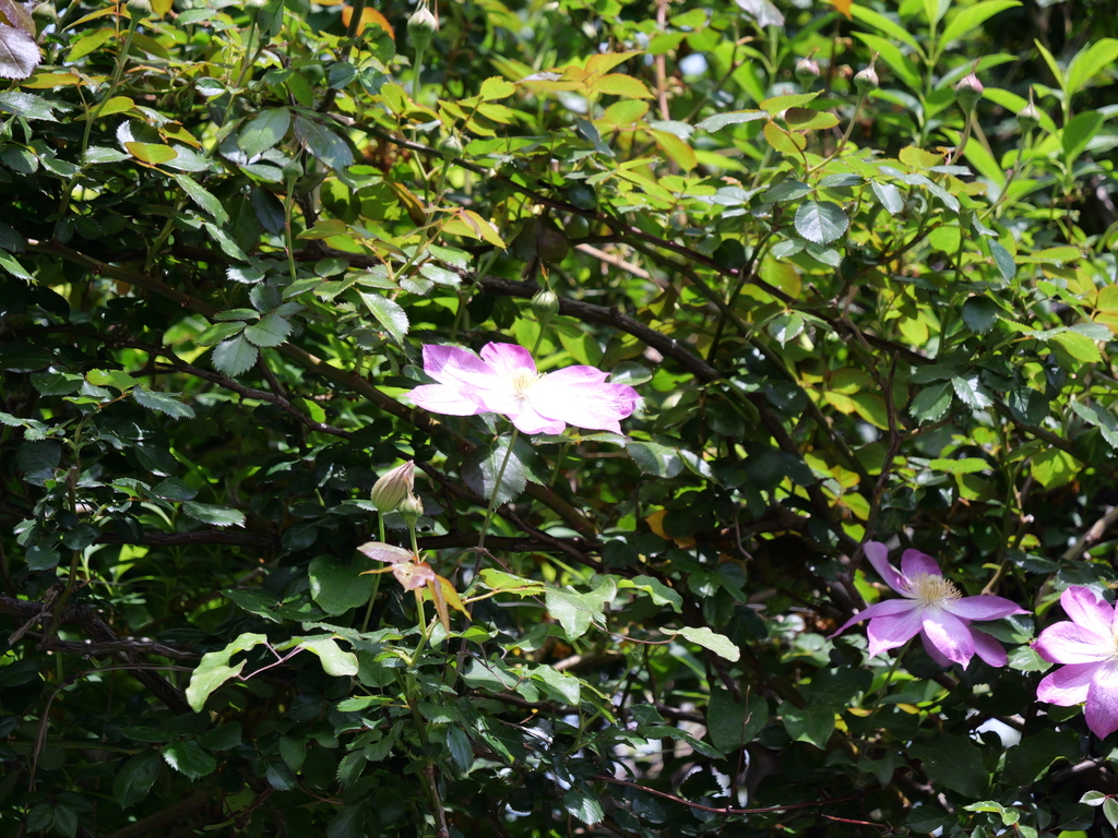 2025-04-19 11_53№(0157).JPG