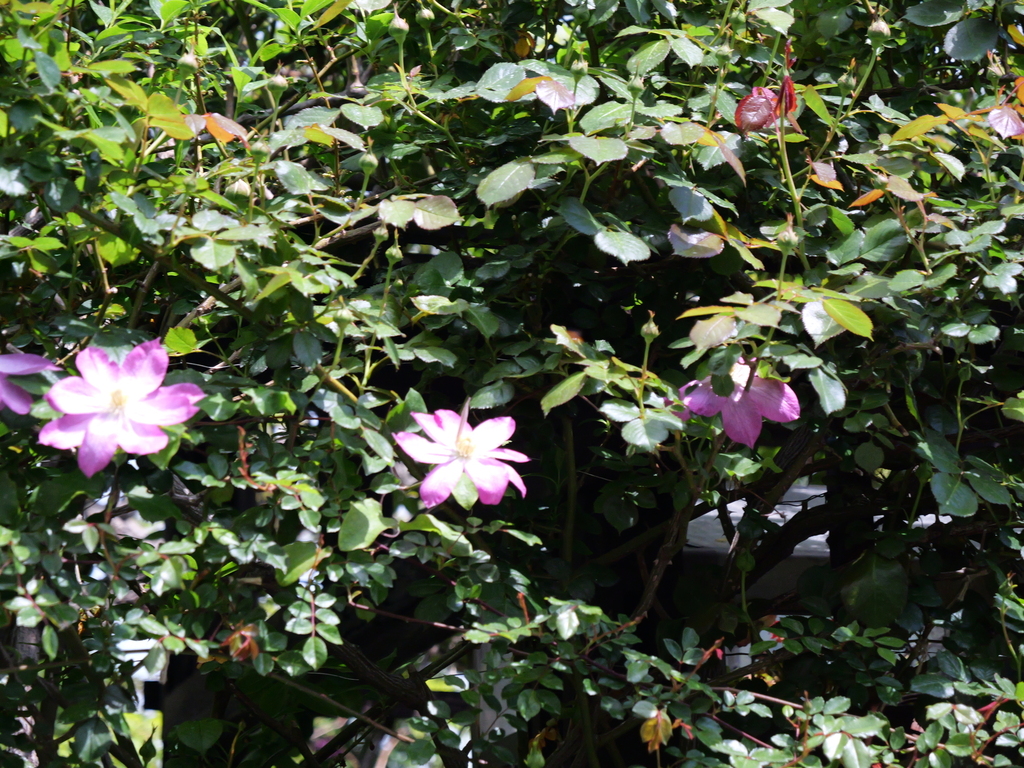 2025-04-19 11_53№(0159).JPG