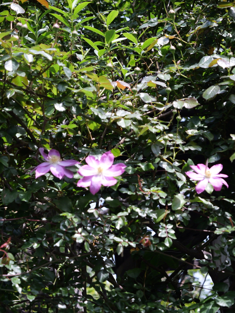 2025-04-19 11_53№(0163).JPG