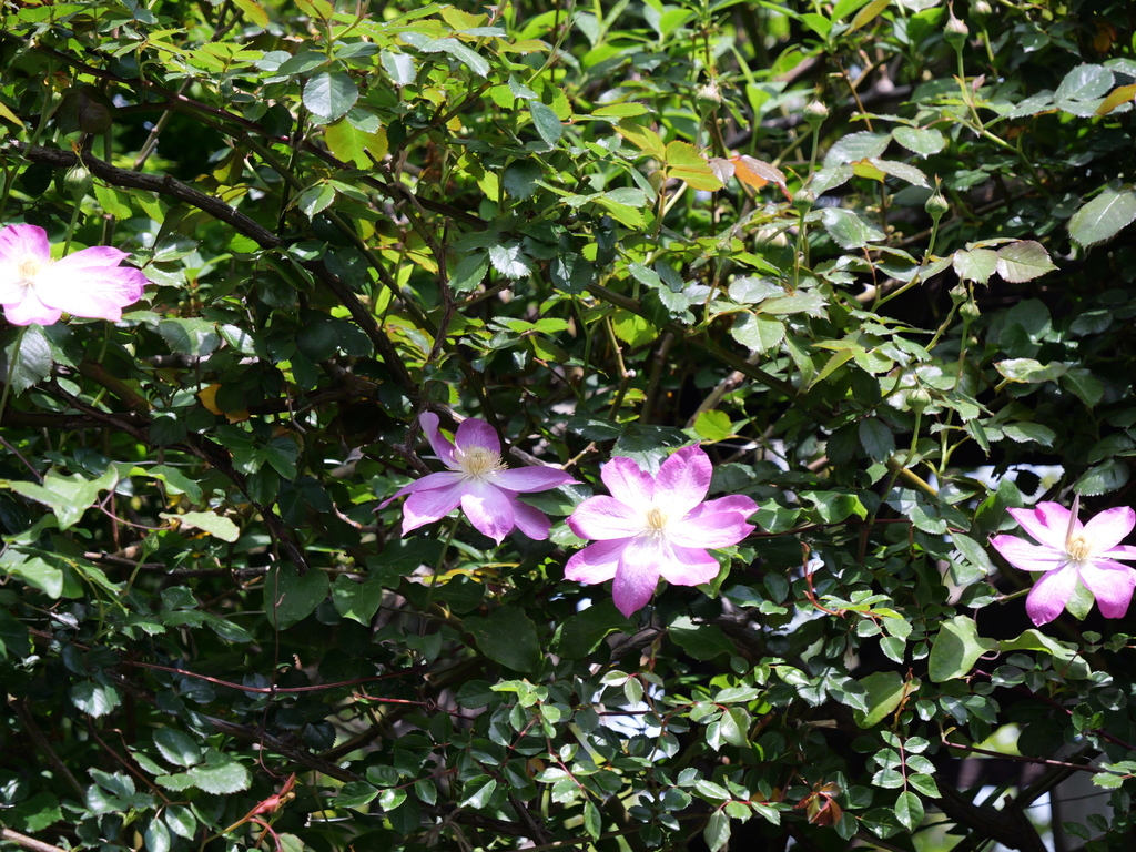 2025-04-19 11_53№(0165).JPG