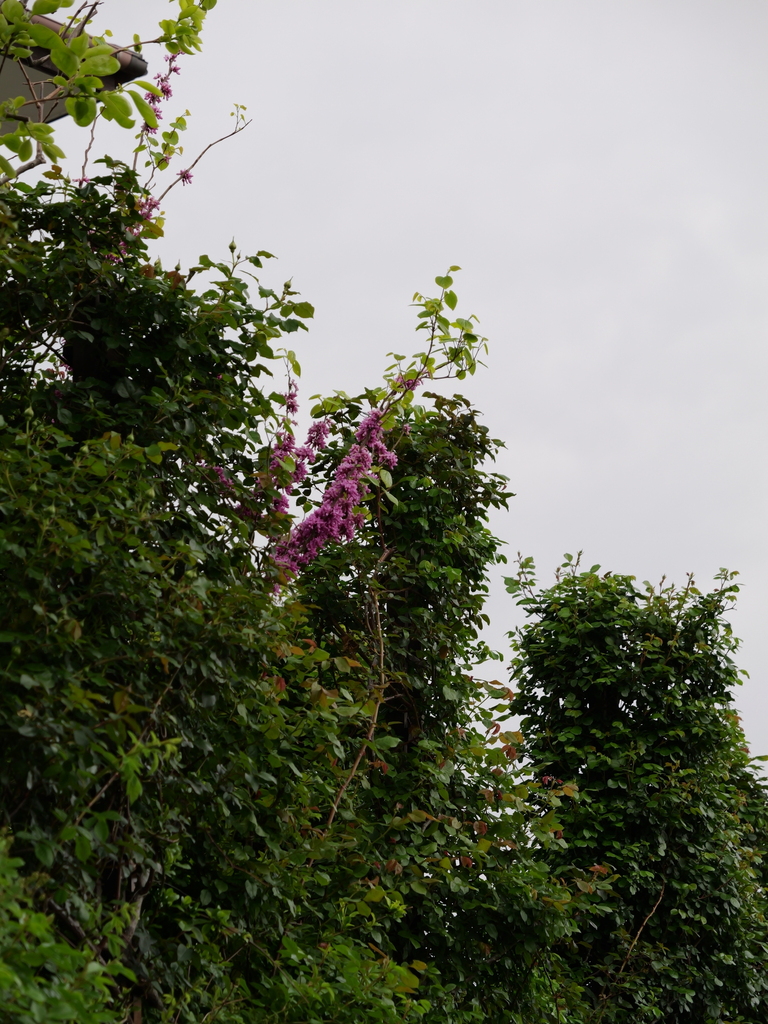 2025-04-20 08_02№(0116).JPG