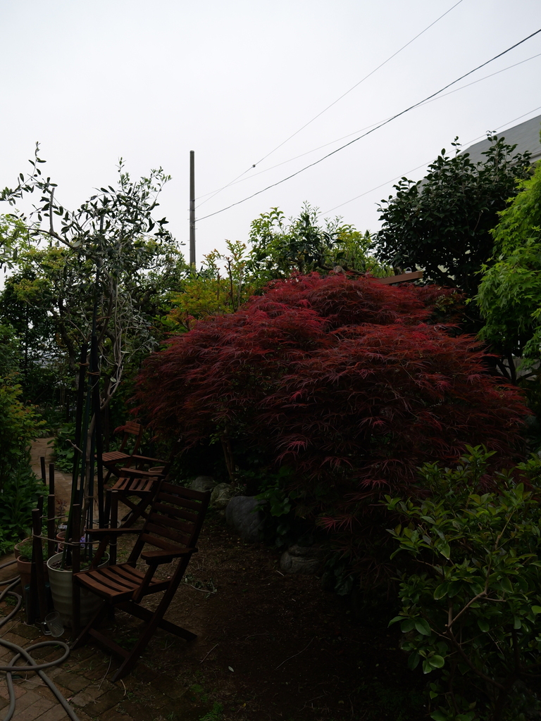 2025-04-20 08_04№(0156).JPG