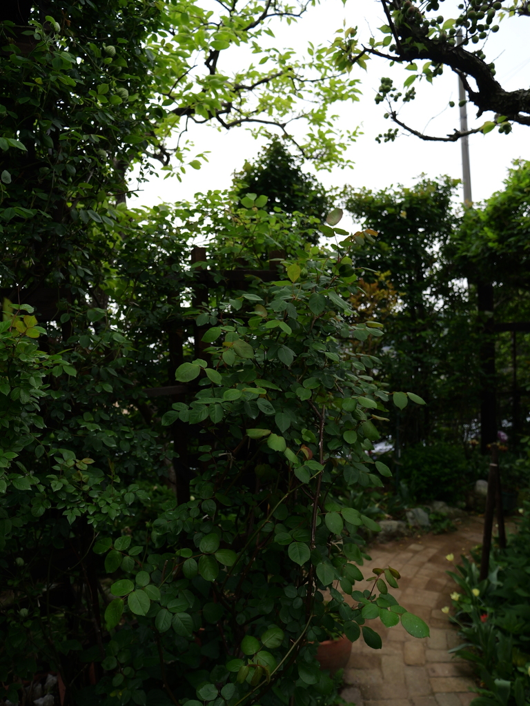 2025-04-20 08_08№(0252).JPG