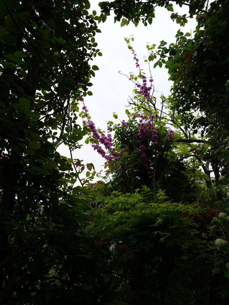 2025-04-20 08_09№(0253).JPG