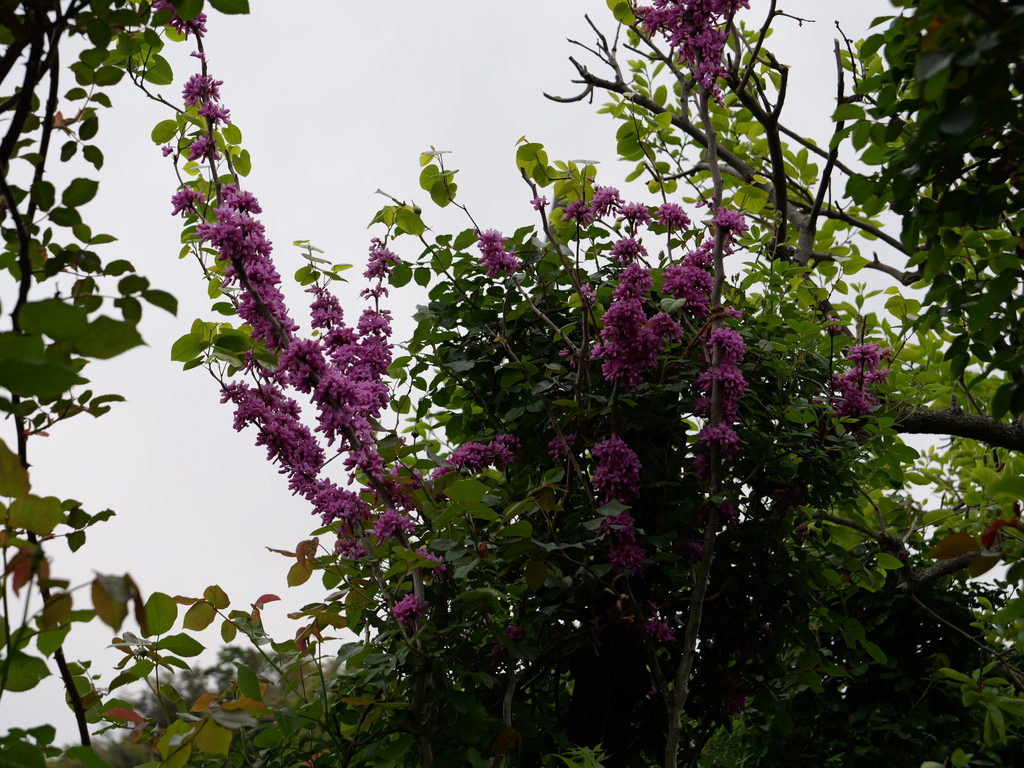 2025-04-20 08_09№(0258).JPG
