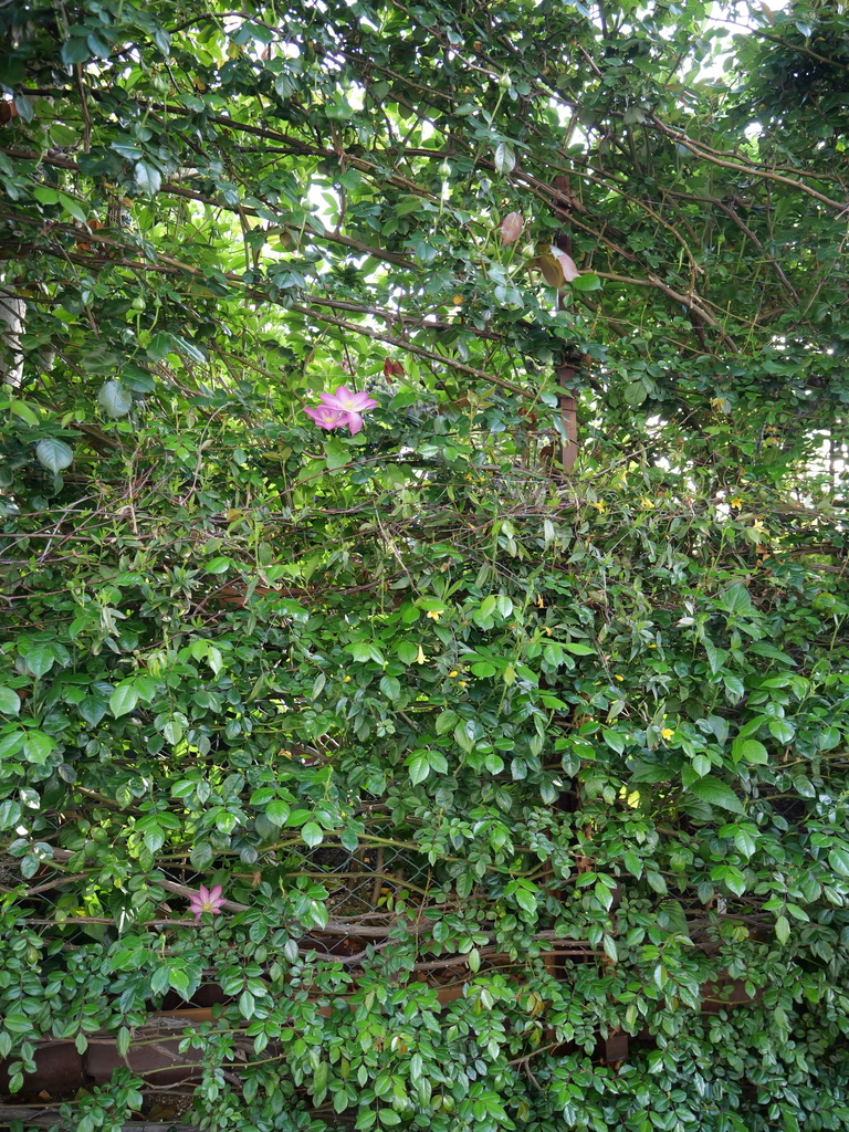 2025-04-21 06_39№(0001).JPG