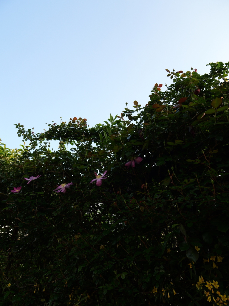 2025-04-21 06_39№(0003).JPG