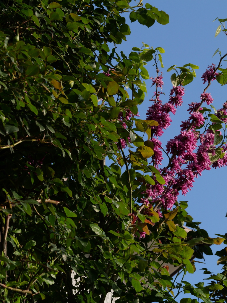 2025-04-21 06_42№(0009).JPG