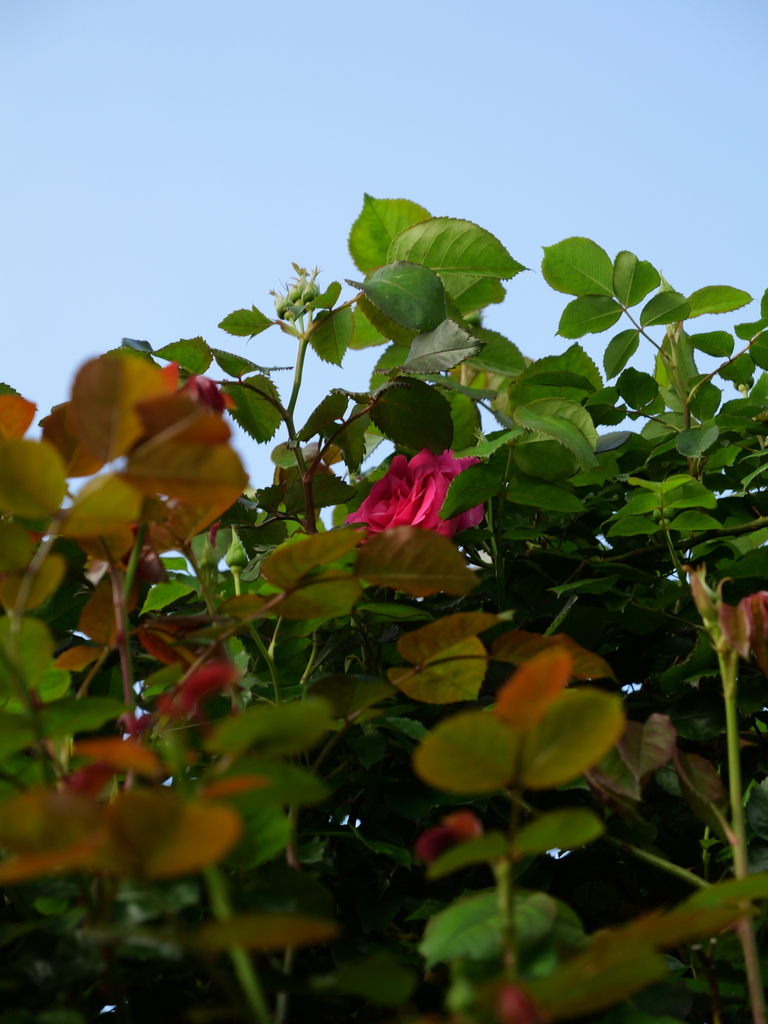 2025-04-21 06_57№(0042).JPG