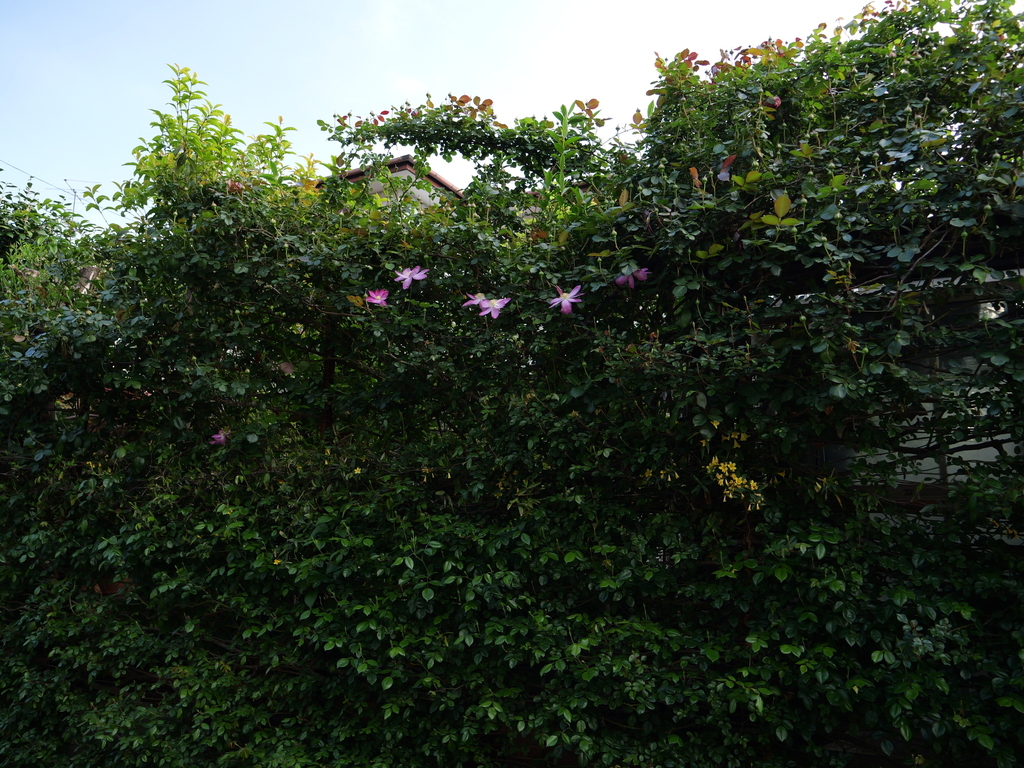 2025-04-21 07_01№(0043).JPG