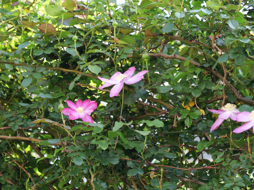 2025-04-21 07_28№(0094).JPG