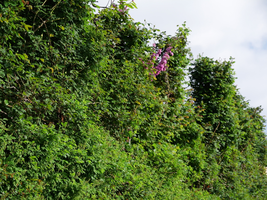 2025-04-21 07_29№(0113).JPG