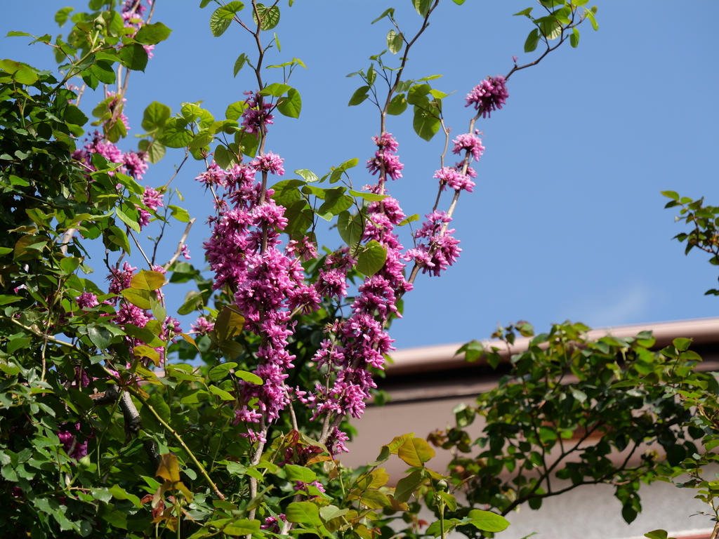 2025-04-21 07_29№(0122).JPG
