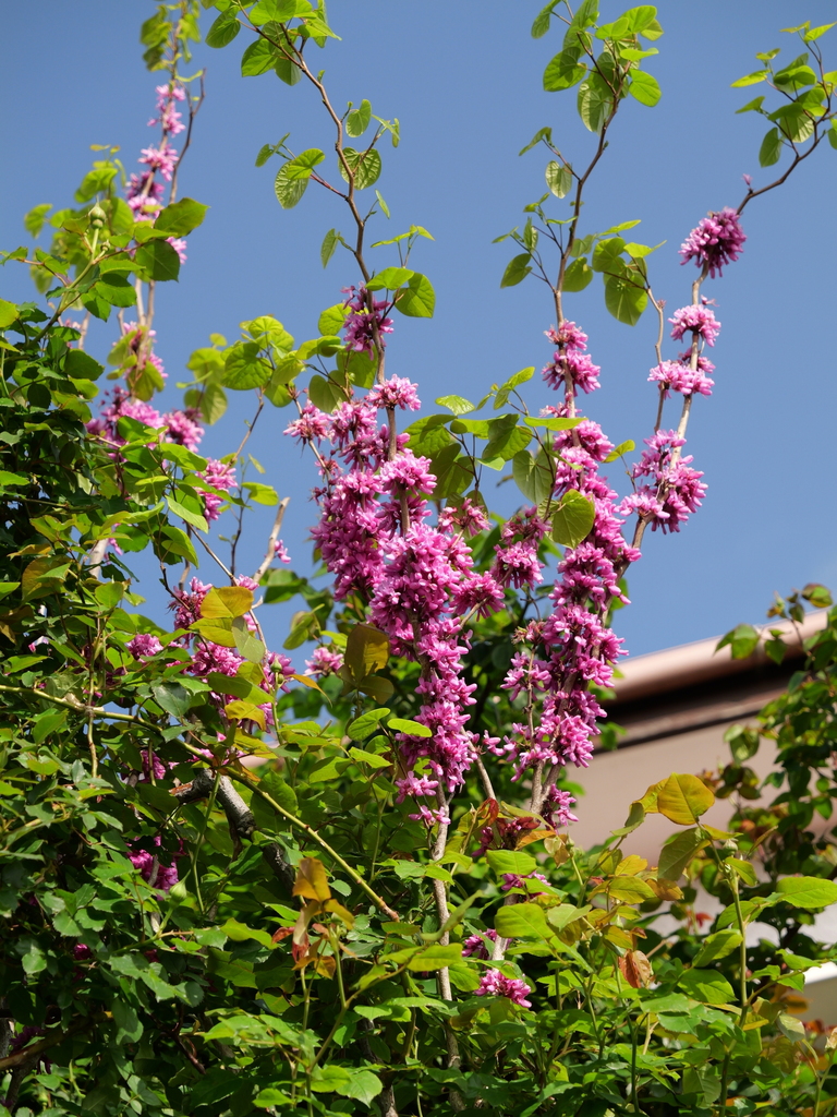 2025-04-21 07_29№(0123).JPG