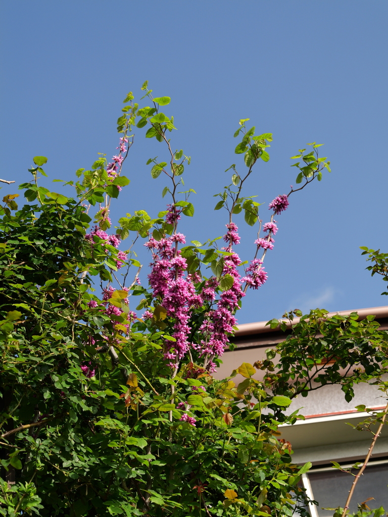 2025-04-21 07_29№(0124).JPG