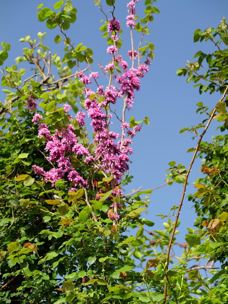 2025-04-21 07_29№(0128).JPG