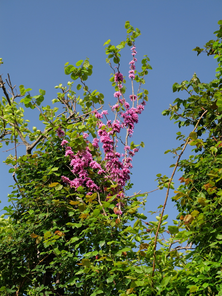 2025-04-21 07_29№(0129).JPG