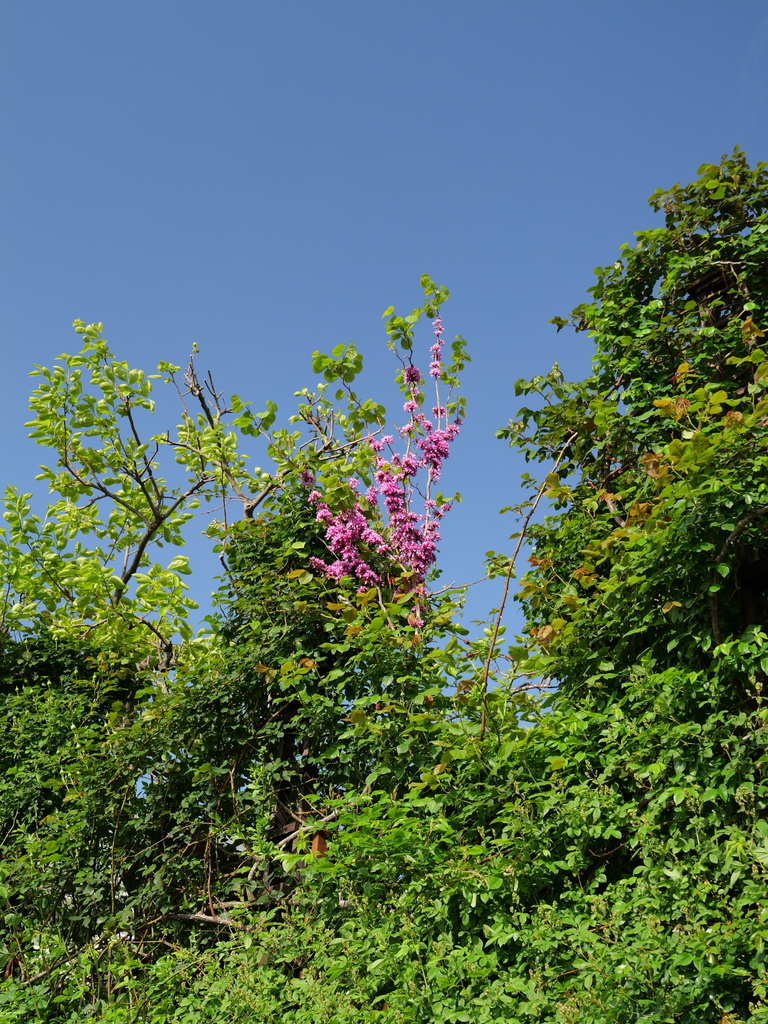 2025-04-21 07_29№(0130).JPG