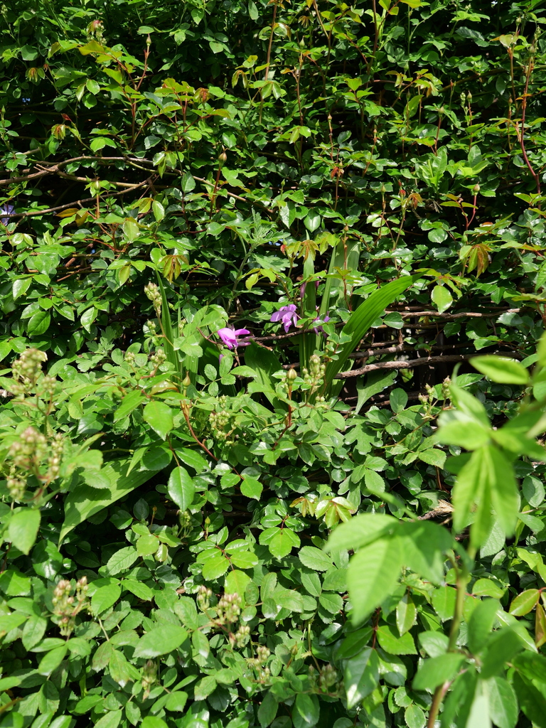 2025-04-21 07_29№(0131).JPG