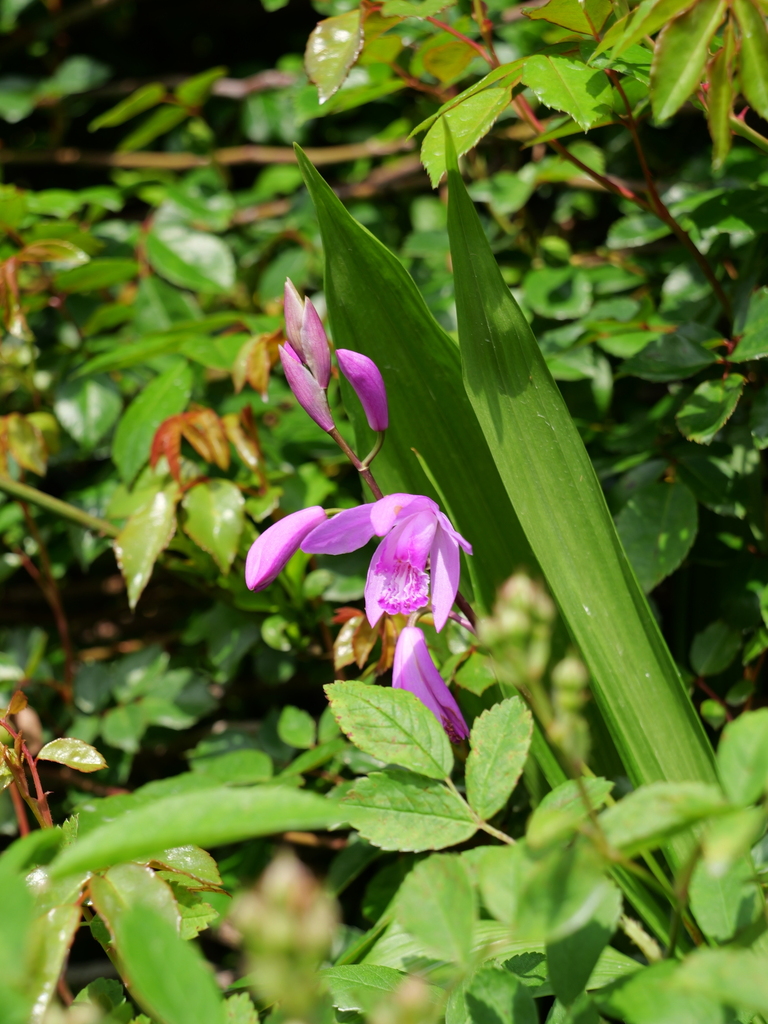 2025-04-21 07_29№(0135).JPG